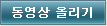 동영상 올리기