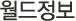 월드정보