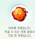 네번째 개체입니다. 먹을 수 있는 개체 중에서 가장 큰 개체입니다.