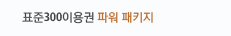 표준300이용권 파워 패키지