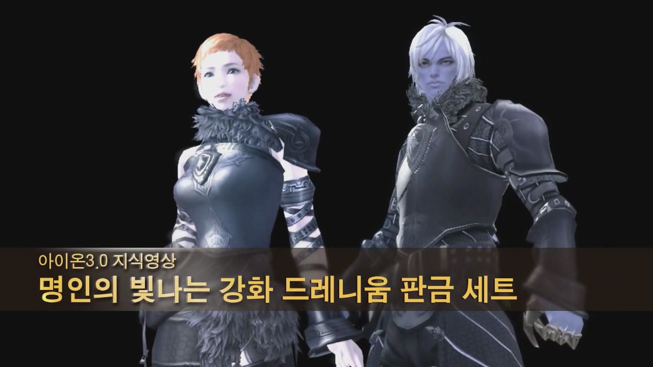 58레벨 명인 영웅 방어구 - 판금 세트
