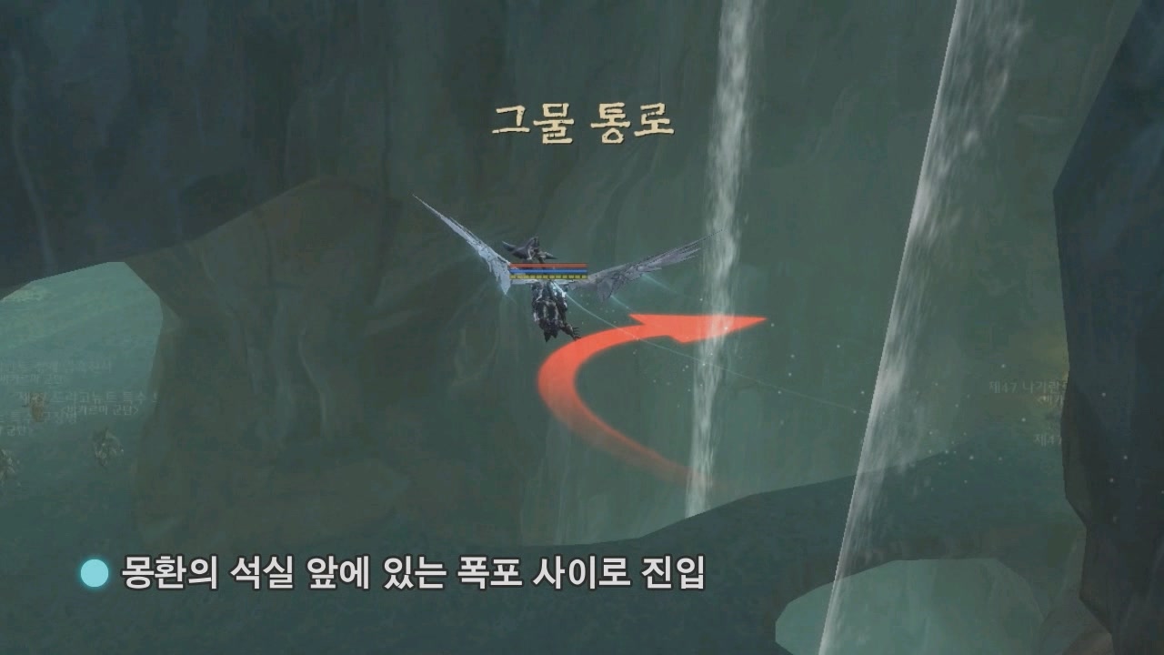 드라웁니르 동굴 활강