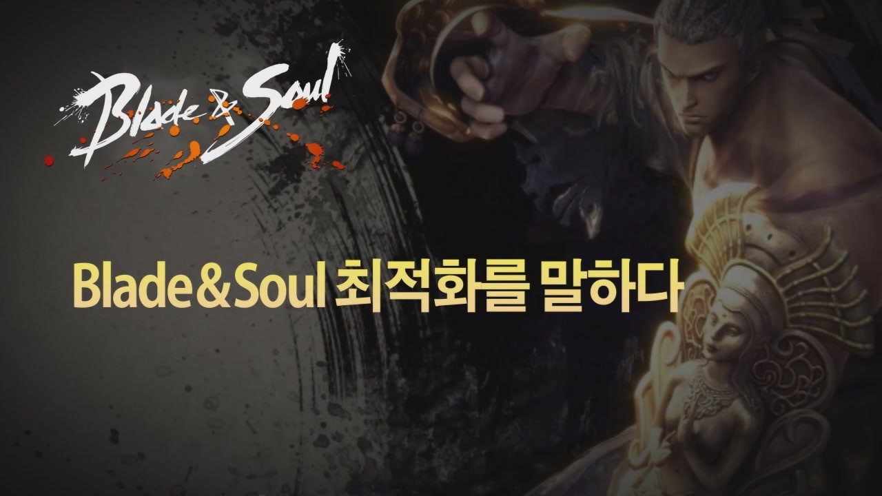 홍사부님이 전하는 블소의 최적화 사양