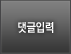 댓글입력