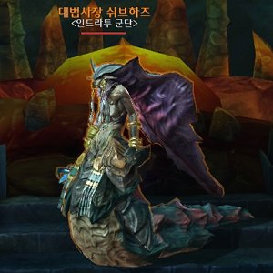 대법사장 쉬브하즈