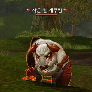 작은 뿔 케루빔