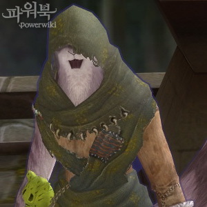차오키키