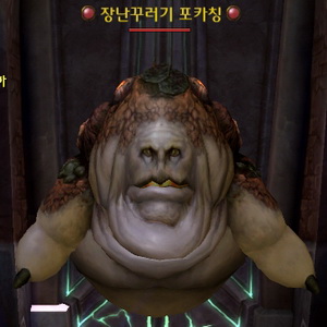 장난꾸러기 포카칭