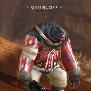 투르신 작업감시자
