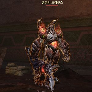 혼돈의 드라쿠스