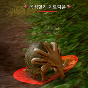 곡식핥기 메르디온