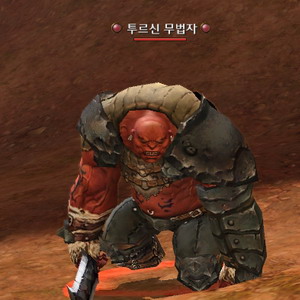 투르신 무법자