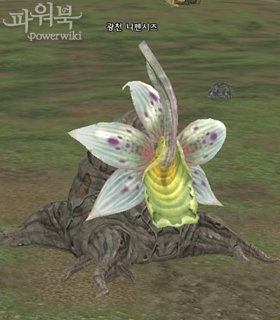 광천 니펜시즈