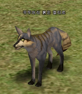 우두머리 붉은 켈티르