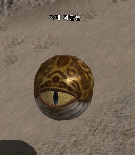 거대 괴물눈