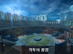 격투의 광장