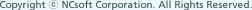 Copyright &copy; NCsoft Corporation. All Rights Reserved.