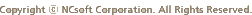 Copyright &copy; NCsoft Corporation. All Rights Reserved.